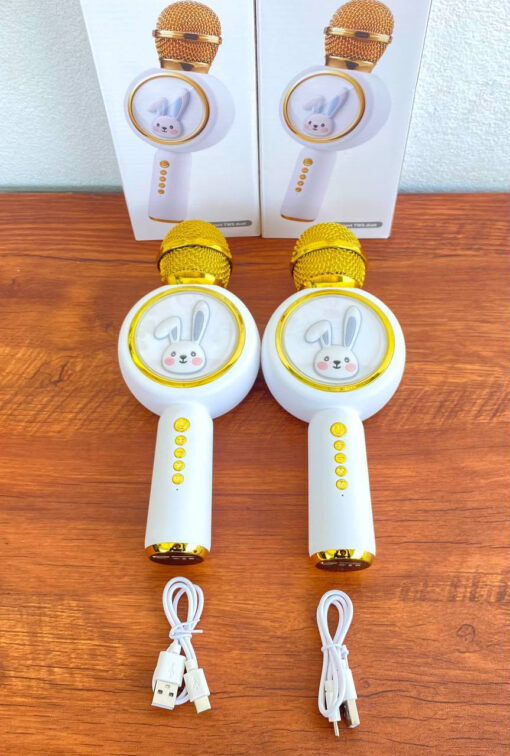 ម៉ៃក្រូហ្វូន Microphone + Bluetooth - Image 2